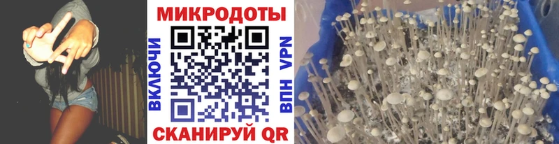 Галлюциногенные грибы ЛСД  купить наркотики сайты  Барнаул 