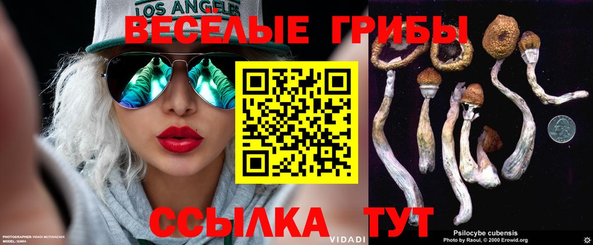 Псилоцибиновые грибы Psilocybe  Вход с VPN  Галлюциногенные грибы ЛСД  Барнаул 
